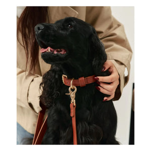 Cafide - Vegan deri köpek tasması | Kahverengi