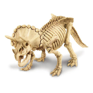 4M - Triceratops Excavation Kit