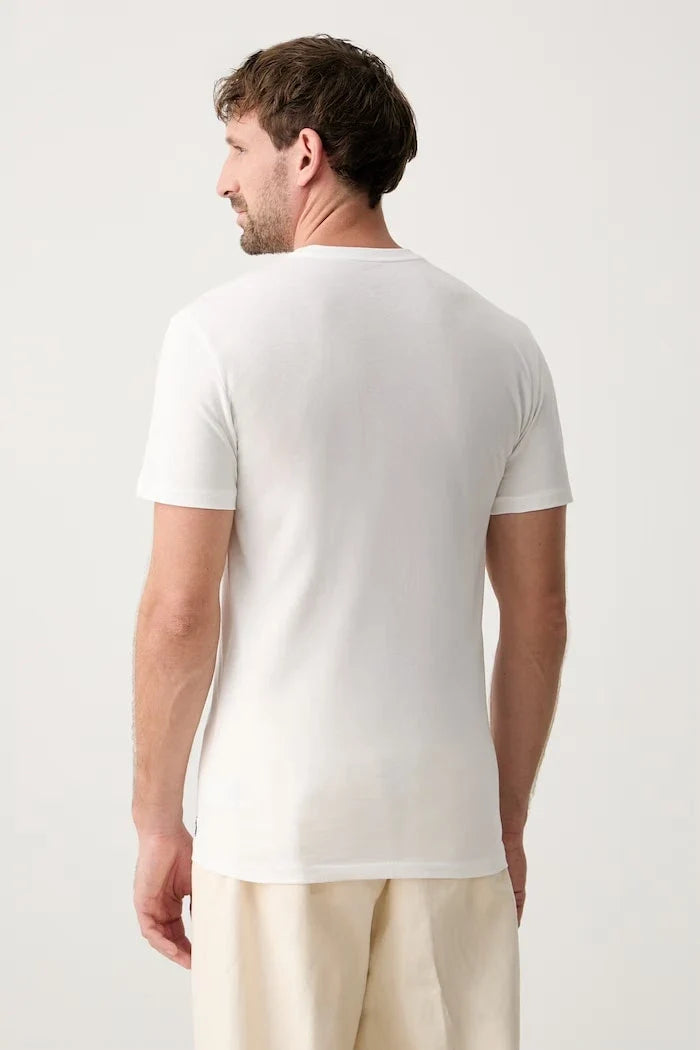 Polo Ralph Lauren basic erkek pamuklu tişört 3'lü