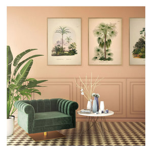 The Dybdahl Co. - Livistona Humilis poster