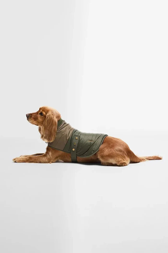 Barbour Brampton Kapitone Köpek Montu