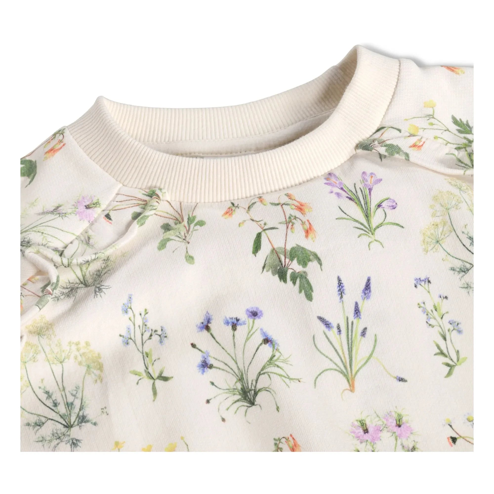 Molo - Mabel Fleuri organik pamuk sweatshirt | Ecru