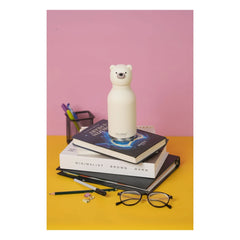 Asobu - White Bear paslanmaz çelik su şişesi