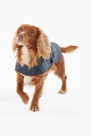 Barbour Köpek Montu