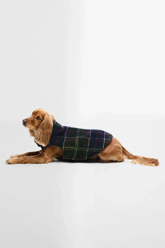 Barbour Field Çift Taraflı Köpek Montu
