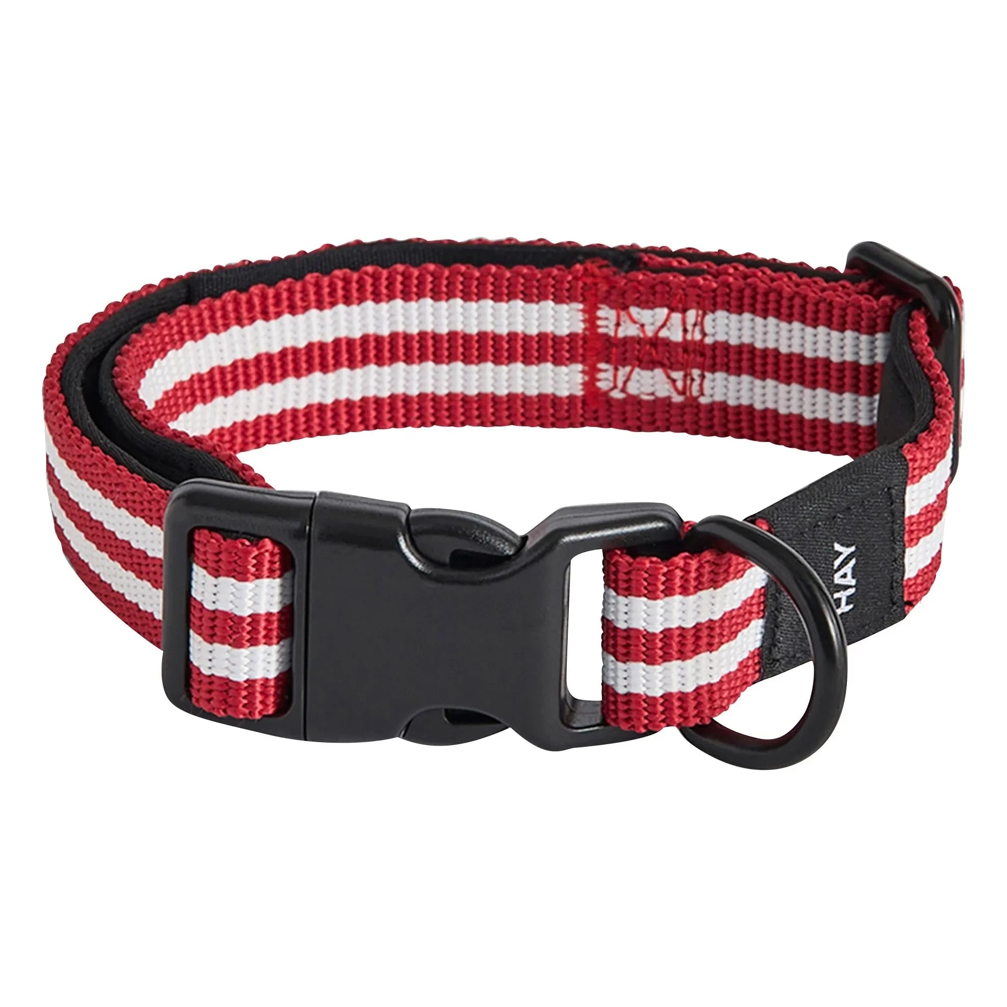 Hay - Kırmızı Çizgili Köpek Tasması