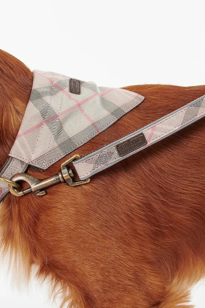 Barbour Reflective Tartan Dog 100 cm Köpek Tasması