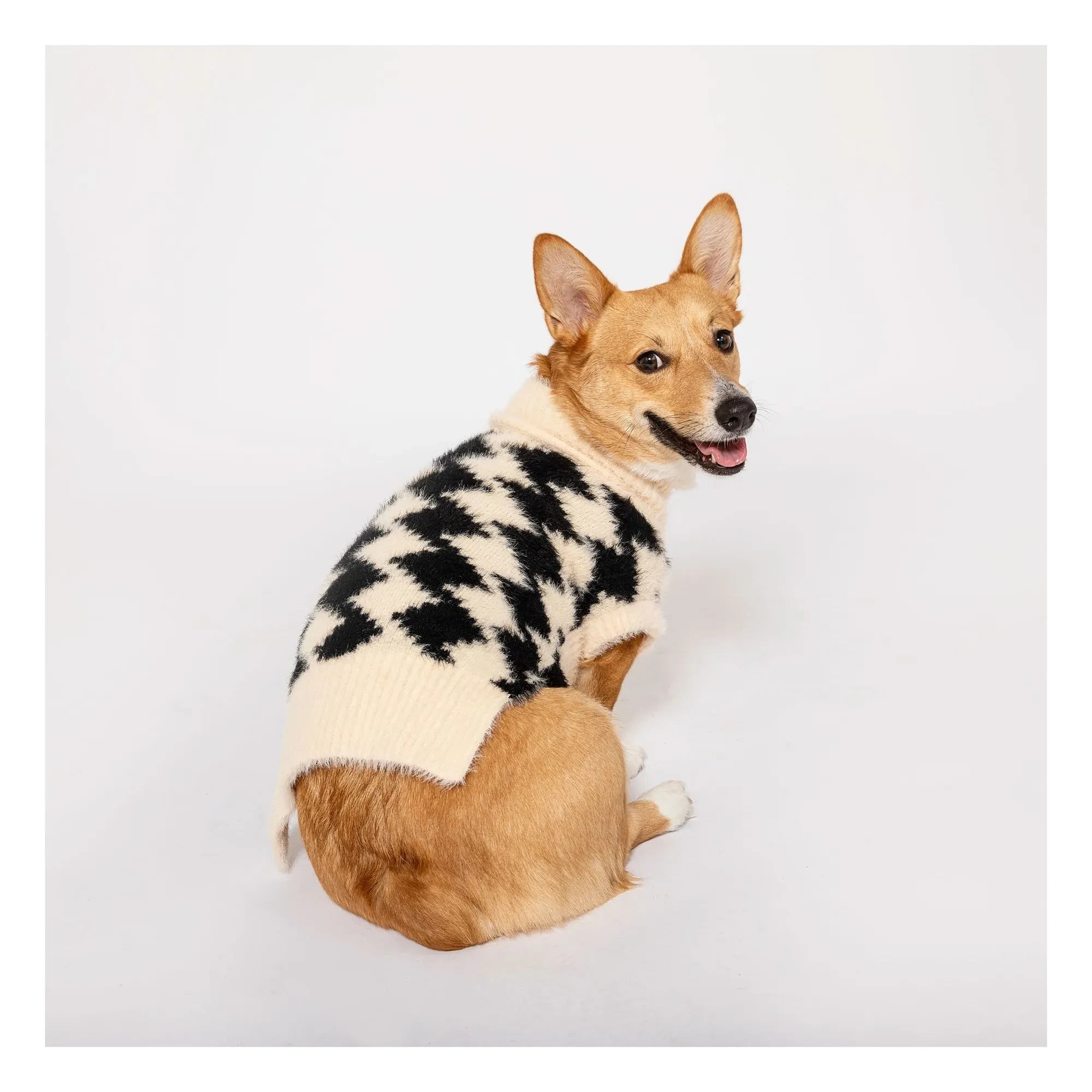 The Furry Folks - Pixmond Pullover | Schwarz