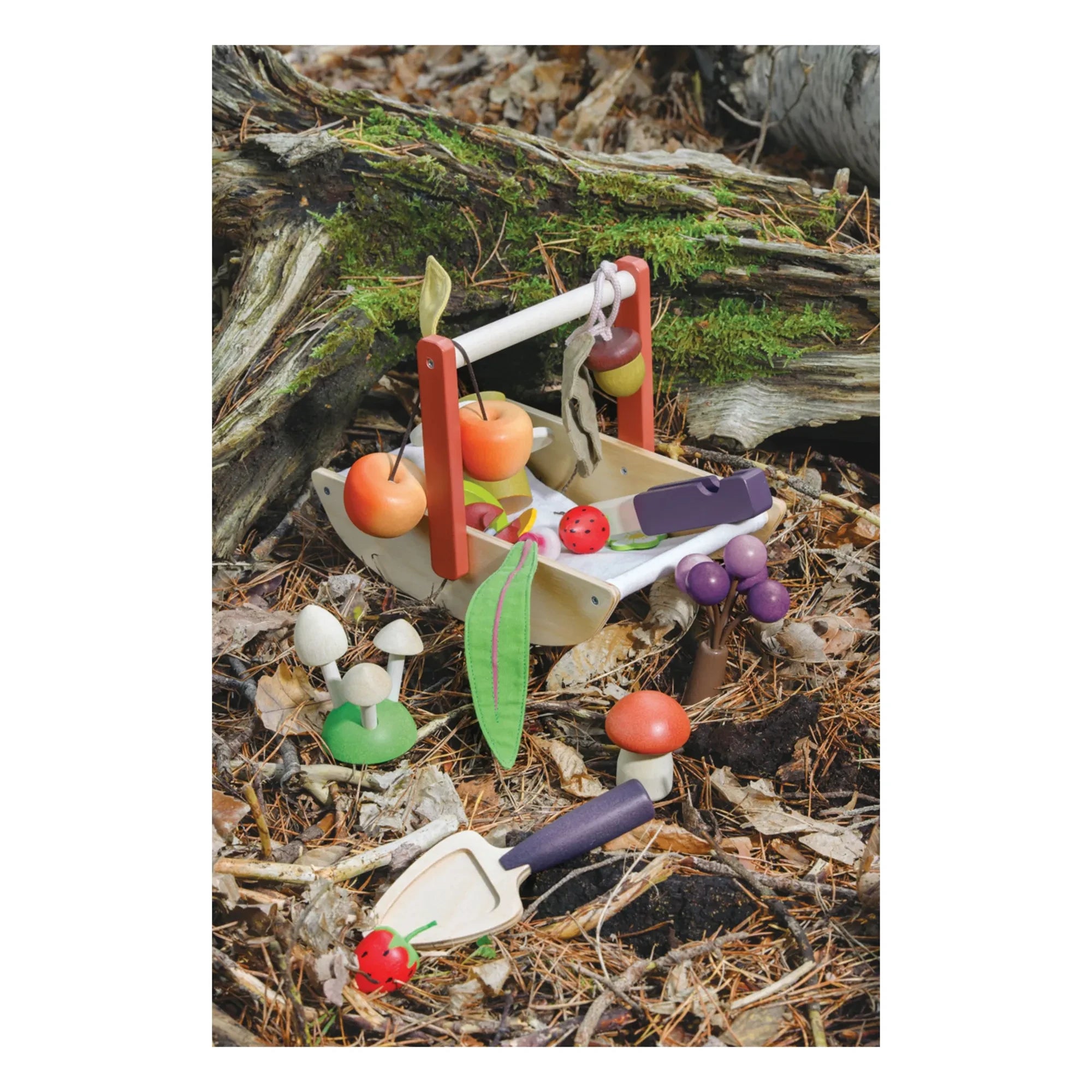 Tender Leaf Toys - Yaban Toplama Sepeti