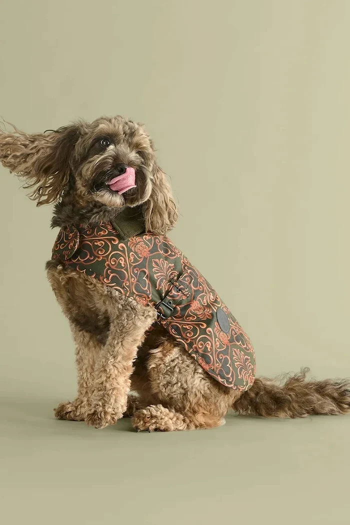 Barbour x Farm Rio Hundemantel