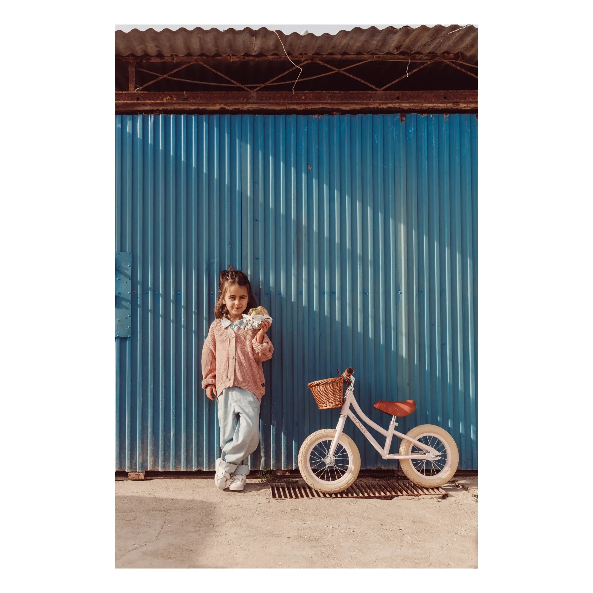Banwood - Go First Push Bike 12" | Rosa