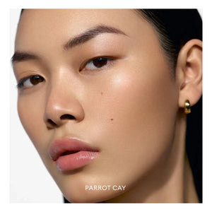 Rose Inc - Solar Infusion yumuşak odaklı bronzer | Parrot Cay