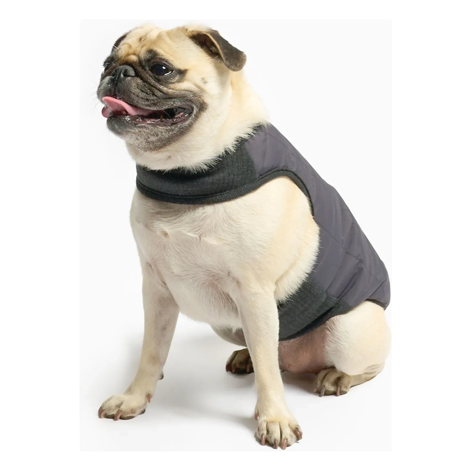 The Furry Folks - Reversible Puffer Jacket | Black