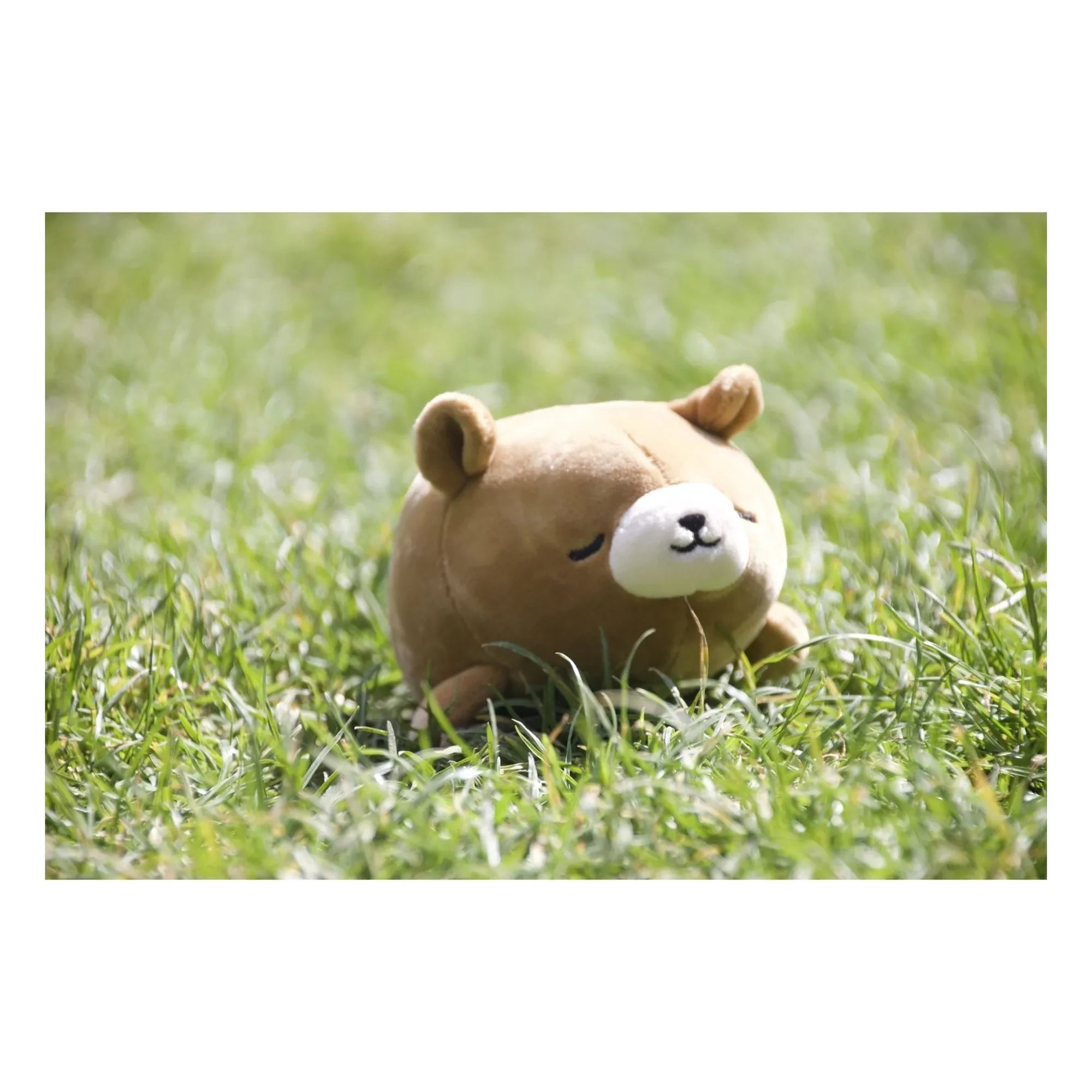 Nemu Nemu - Brown Bear Cookie peluş | Koyu Bej
