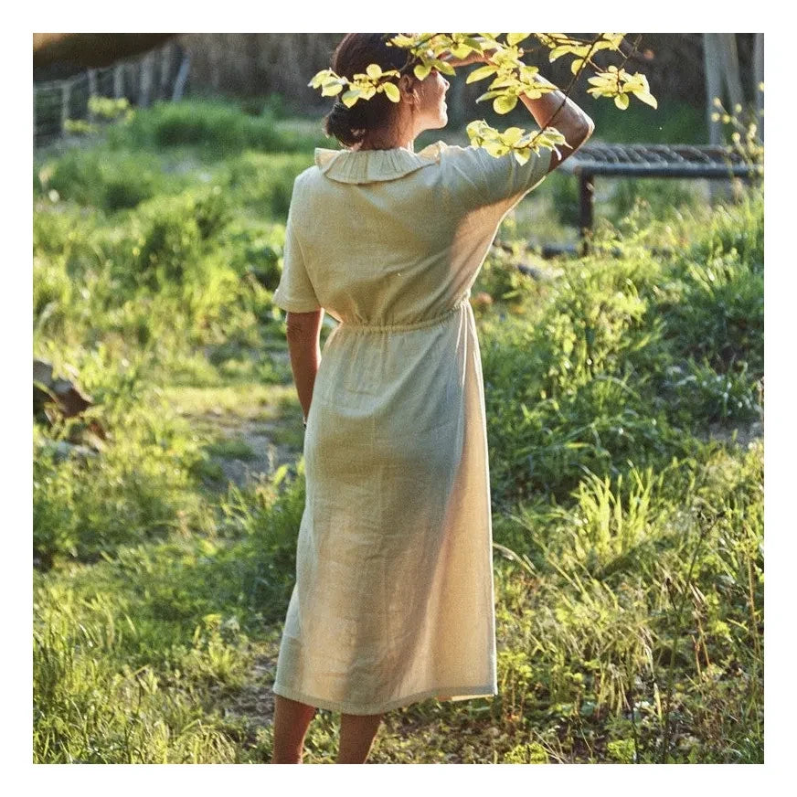 Poudre Organic - Camarine Kleid - Damen Kollektion | Creme