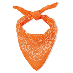 Arsène et Les Pipelettes - Orange Bandana