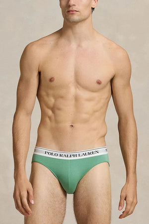 Polo Ralph Lauren Erkek Pamuklu Slip 3'lü