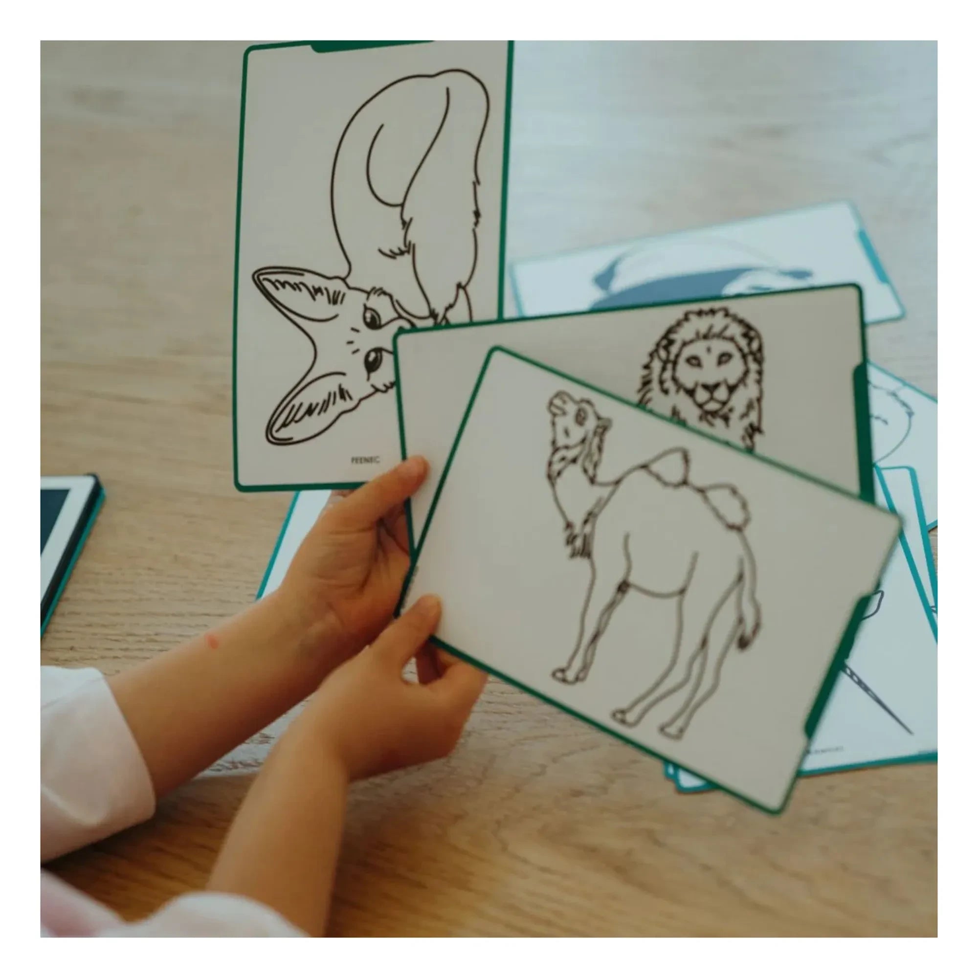 Kidywolf - Kidydraw Mini çizim tahtası | Koyu yeşil