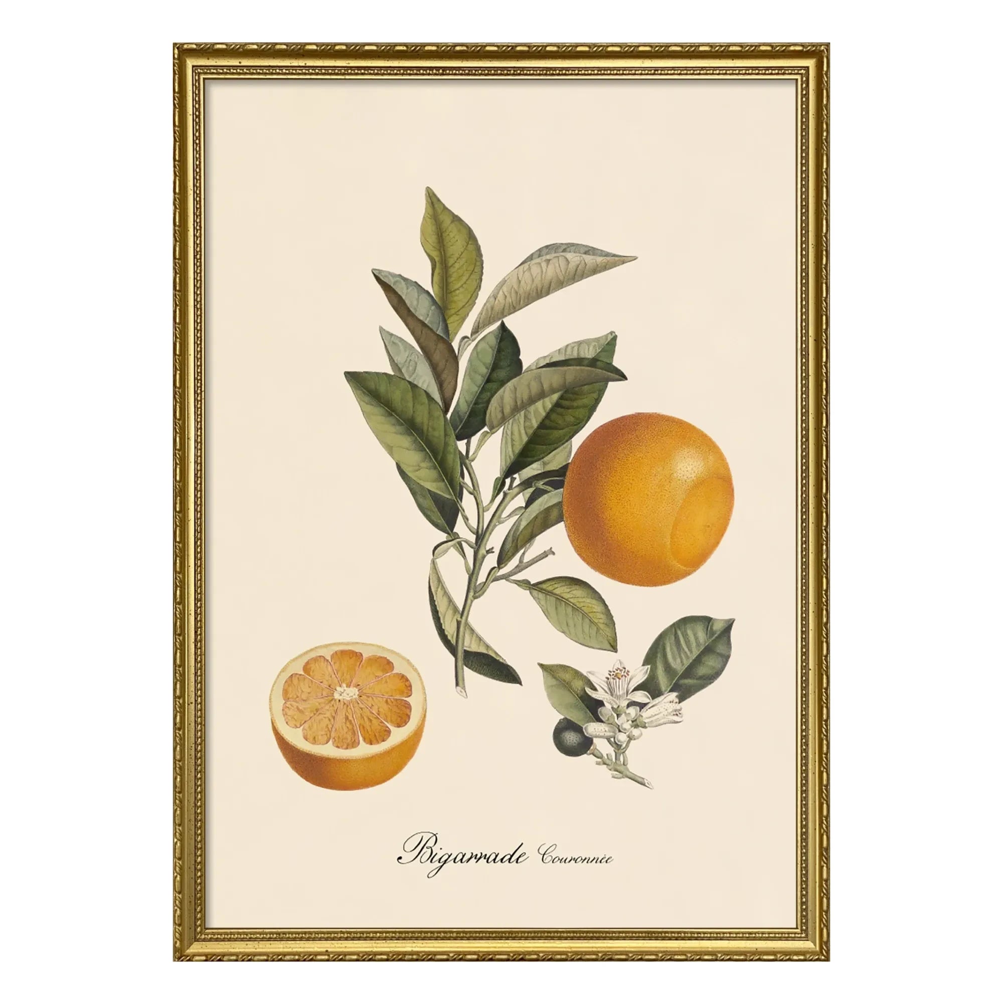 The Dybdahl Co. - Bigarrade mit Krone Poster