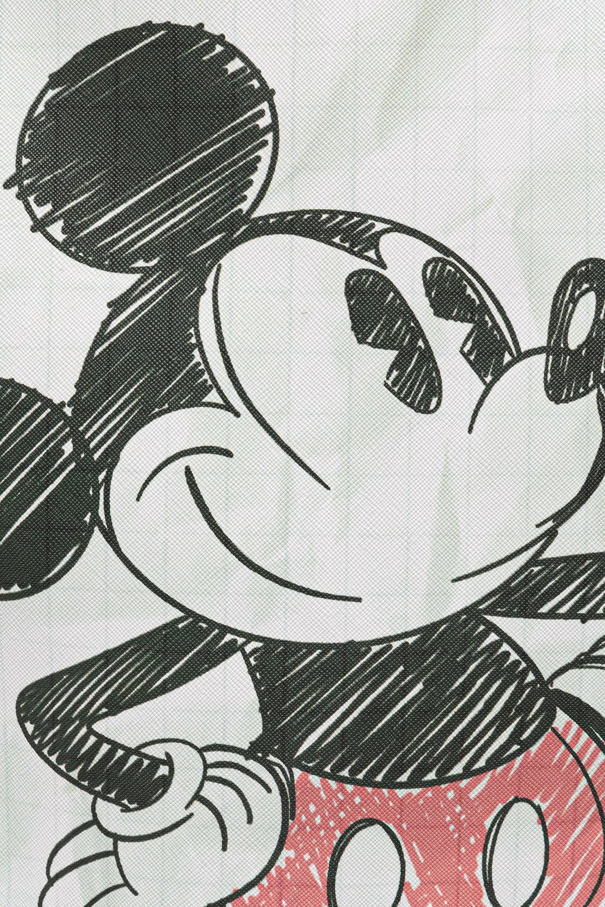 Sprayground - Mickey Yeşil Sırt Çantası 910B9128NSZ