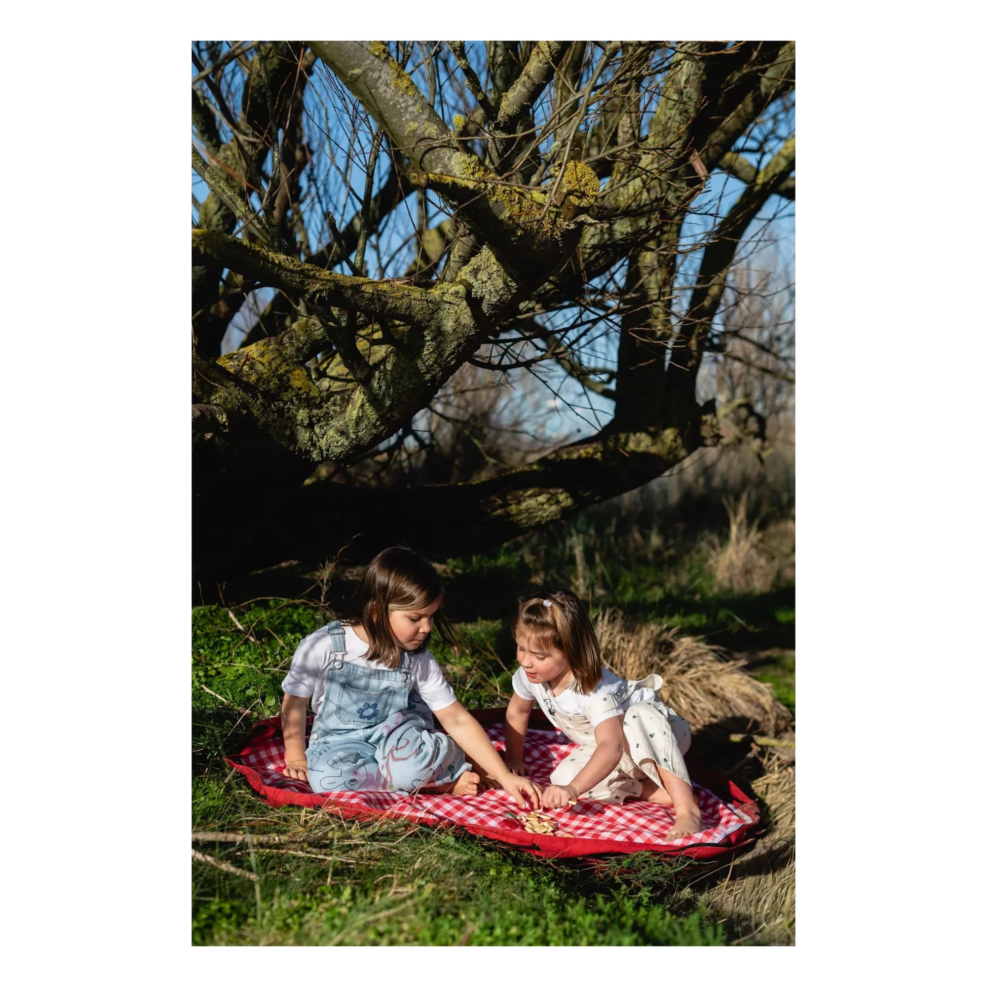 Play and Go - Noomad Outdoor Spieltasche / Matte - Picknick | Rot