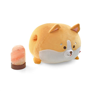 Legami - Corgi Yastık ve Himalayan Salt Lamp Seti