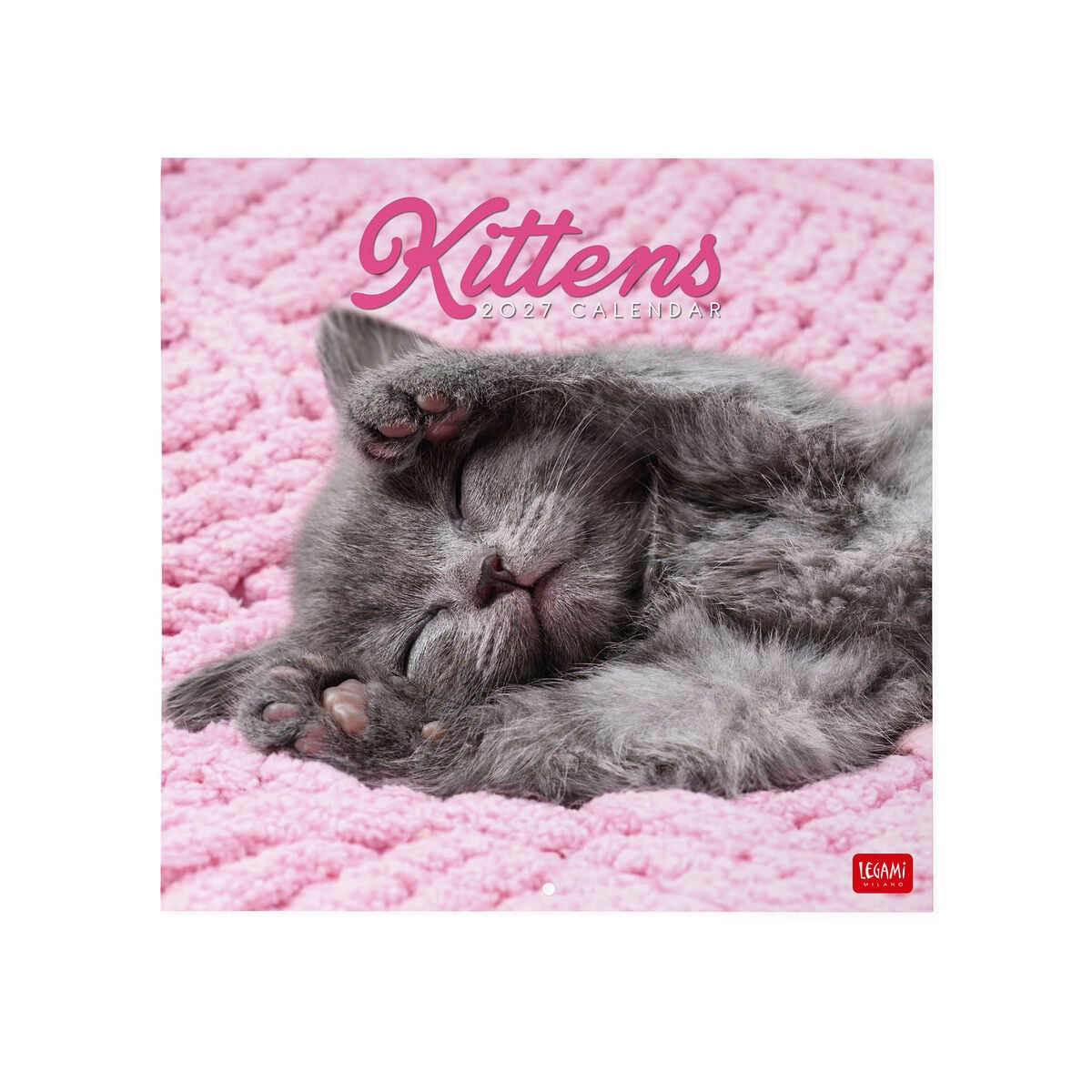 Legami - Kittens 2027 Wall Takvim - 30 x 29 cm