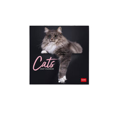 Legami - Cats 2027 Wall Takvim - 18 x 18 cm