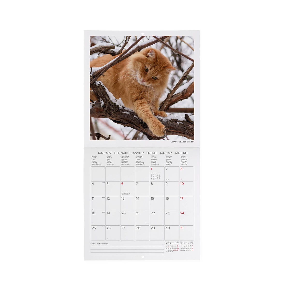 Legami - Cats 2027 Wall Takvim - 18 x 18 cm