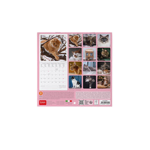 Legami - Cats 2027 Wall Takvim - 18 x 18 cm