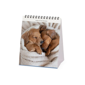 Legami - Puppies 2027 Desk Takvim - 12 x 14,5 cm