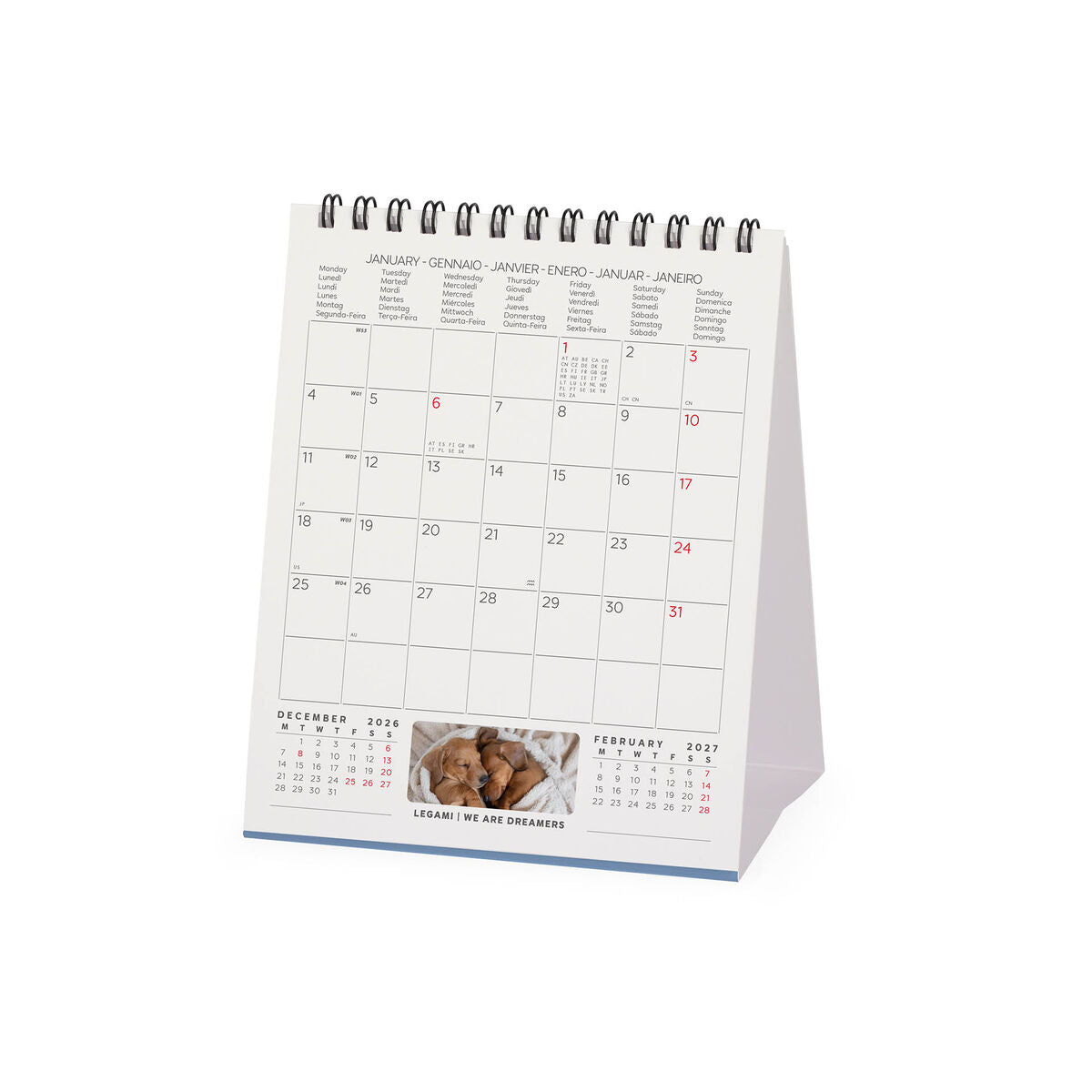 Legami - Puppies 2027 Desk Takvim - 12 x 14,5 cm
