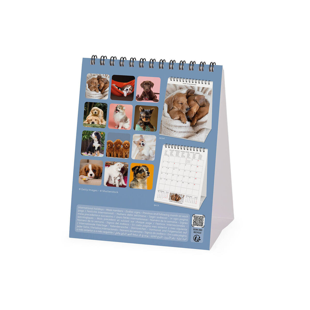 Legami - Puppies 2027 Desk Takvim - 12 x 14,5 cm