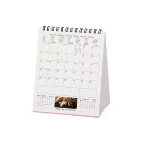 Legami - Best Arkadaşlar 2027 Desk Takvim - 12 x 14,5 cm