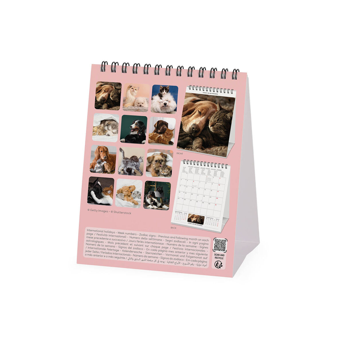 Legami - Best Arkadaşlar 2027 Desk Takvim - 12 x 14,5 cm
