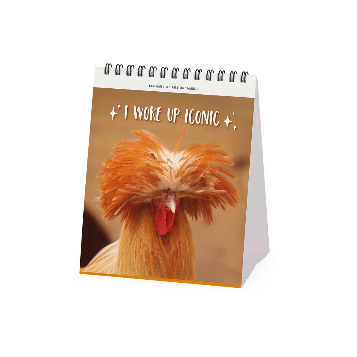 Legami - Take It Easy 2027 Desk Takvim - 12 x 14,5 cm