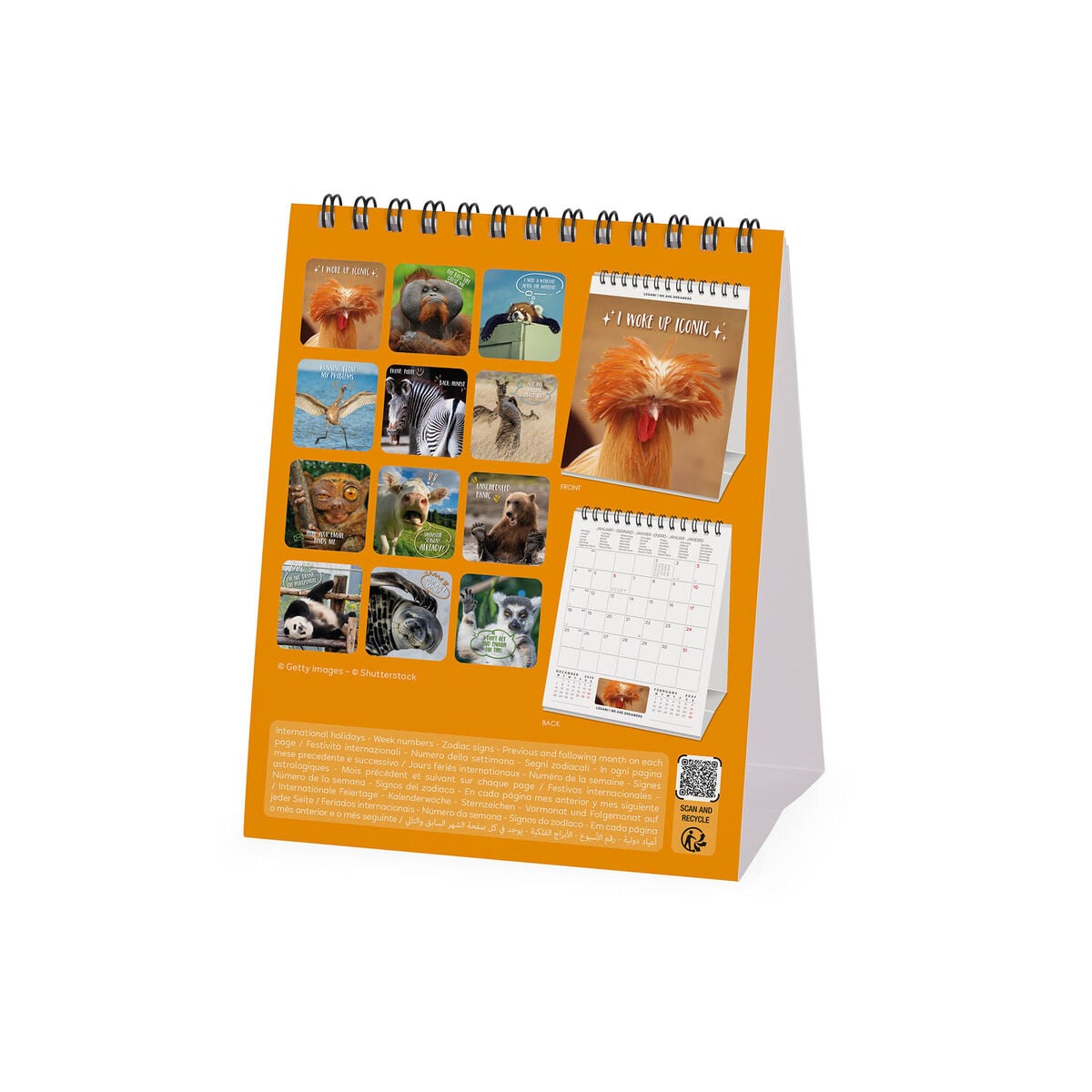 Legami - Take It Easy 2027 Desk Takvim - 12 x 14,5 cm