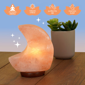 Legami - Himalayan Salt Lamp - Moon