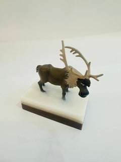 Baveal – Kids Orman Macerası Nemlendiricili El ve Vucüt Sabunu