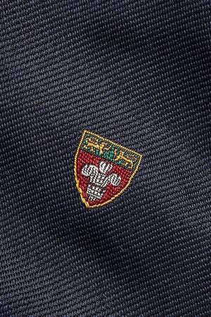 Polo Ralph Lauren İpek Kravat