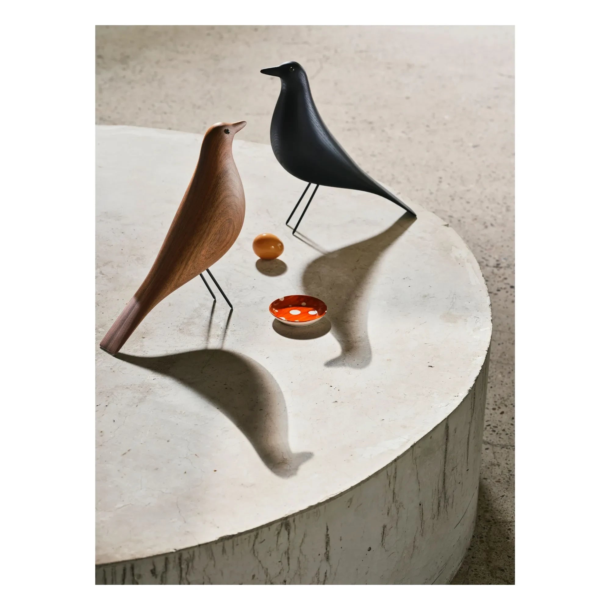 Vitra - House Bird dekoratif kuş | Siyah dişbudak