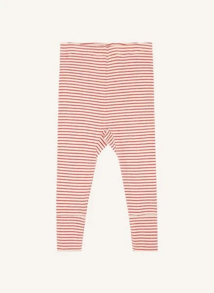 Caramel - Judd Striped Leggings | Red