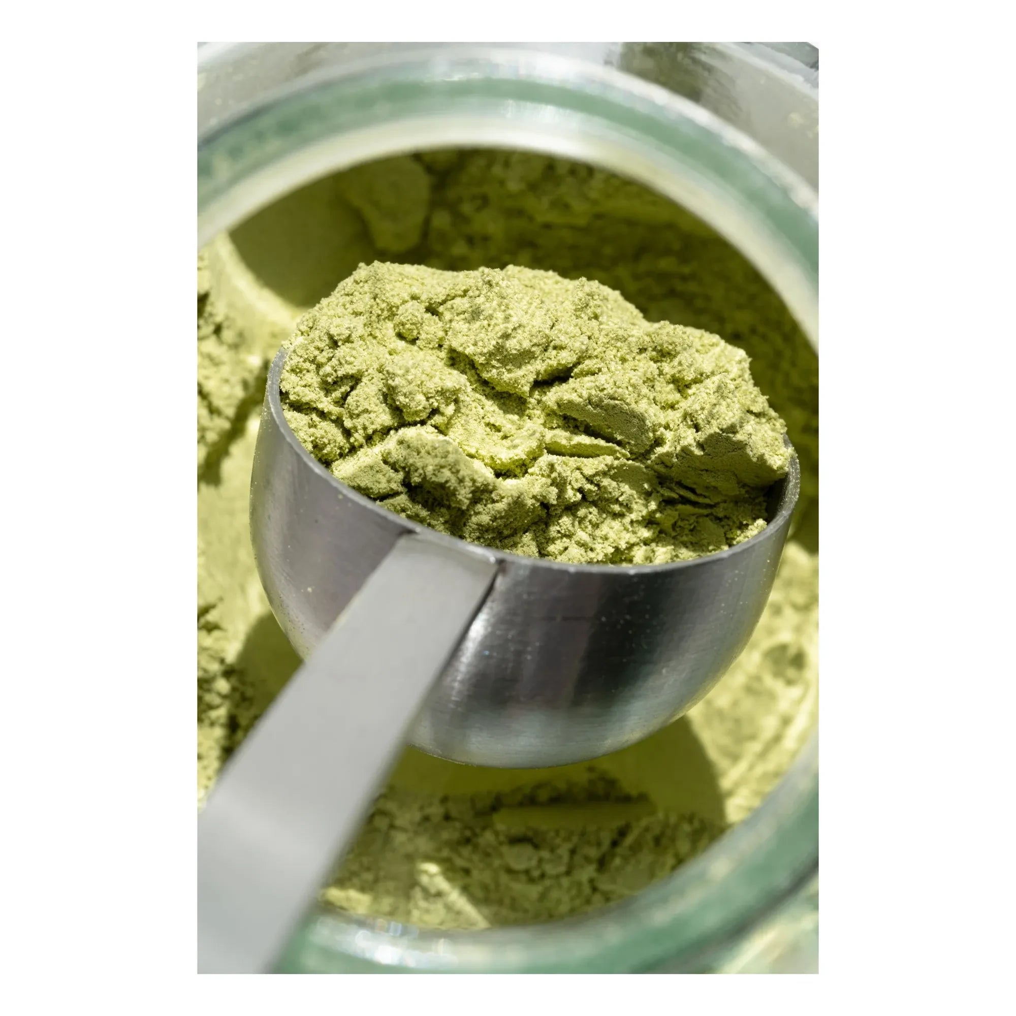 D-LAB NUTRICOSMETICS - Pro-Kollagen neue Hautergänzung - 28 Tage | Farblos