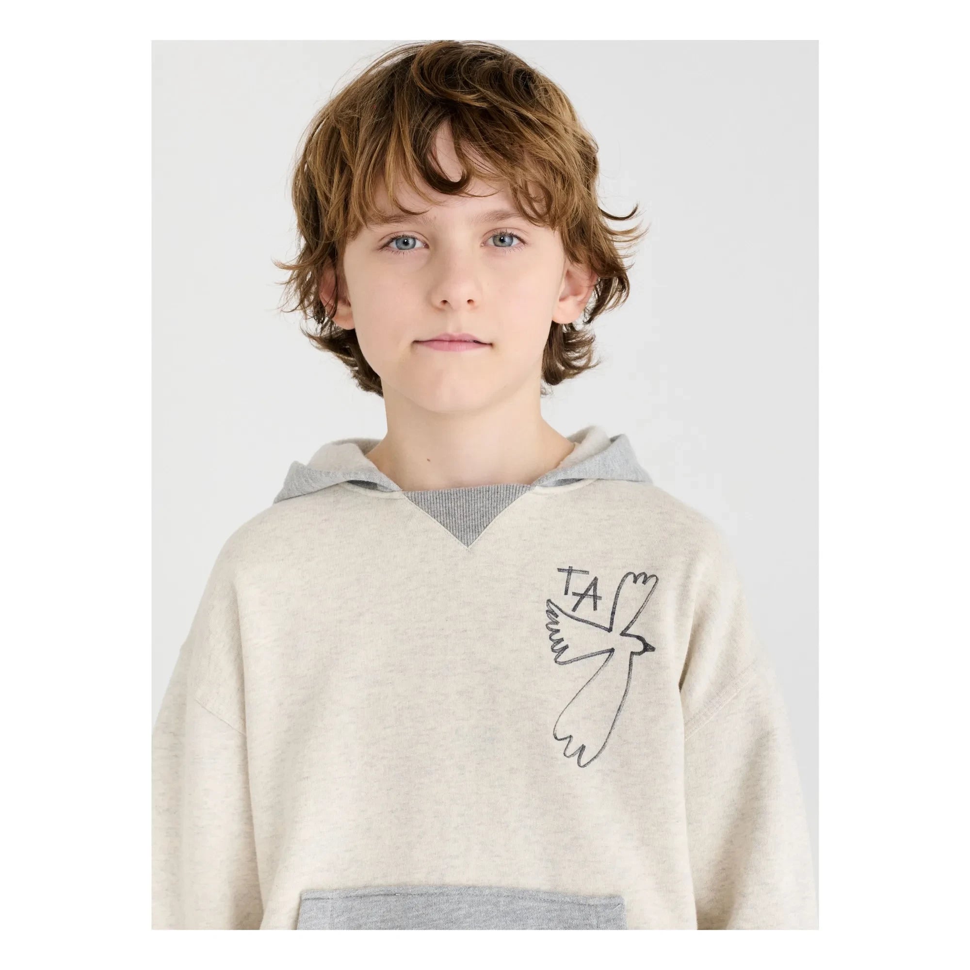 True Artist - Sweat N°16 | Gri melanj