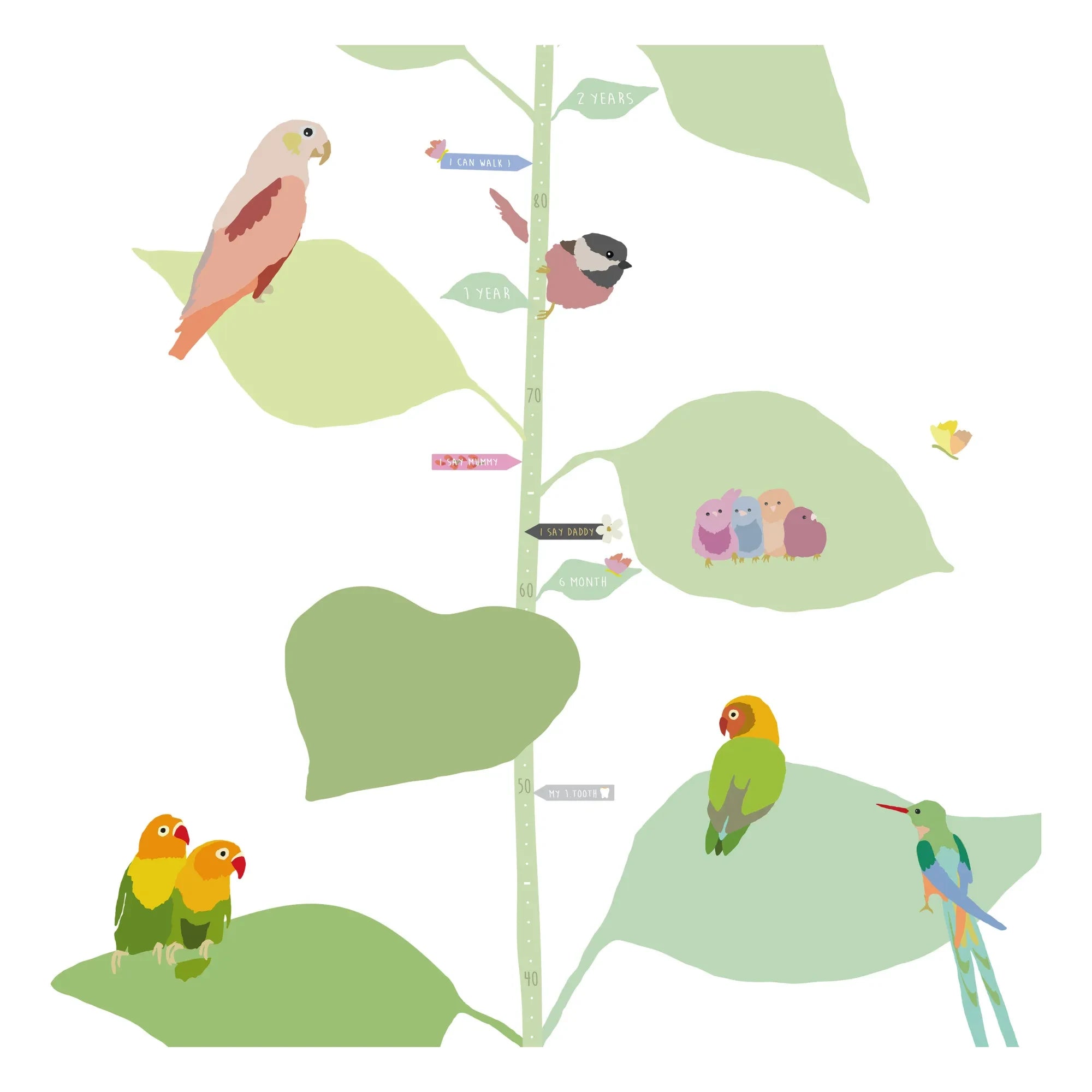 MIMI'lou - With The Birds Jungen Größentabelle - DE