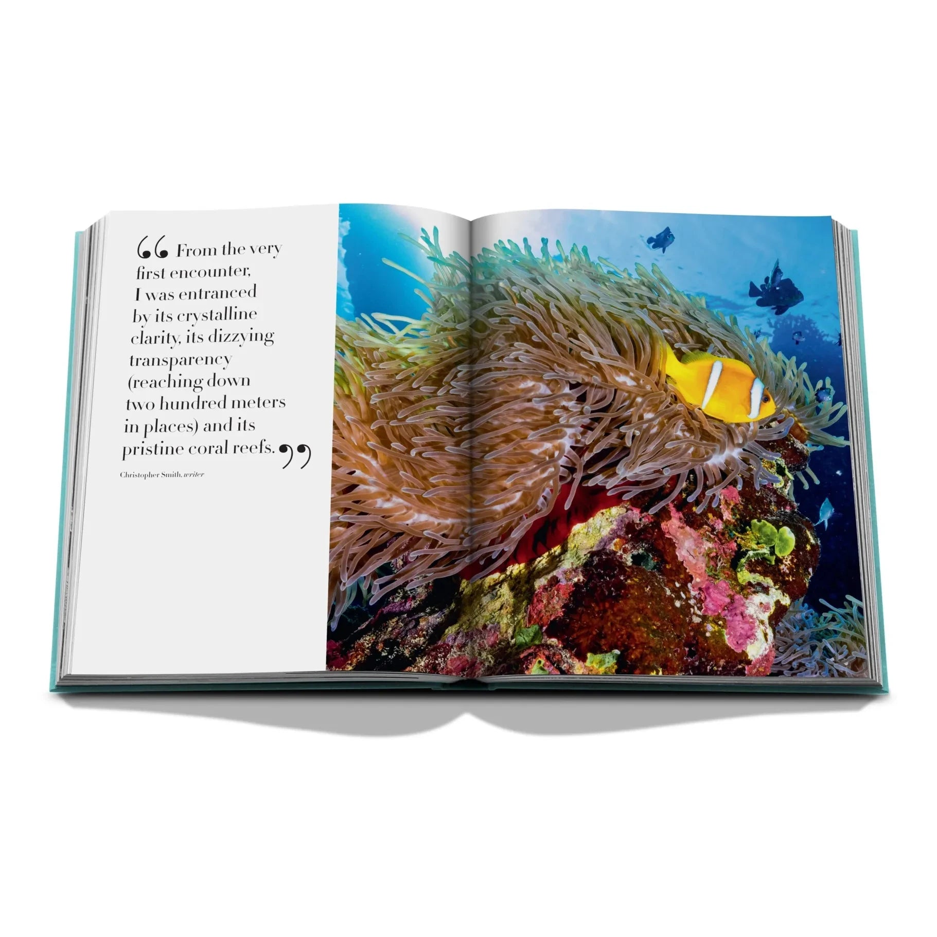 Assouline - Red Sea: Saudi Coast