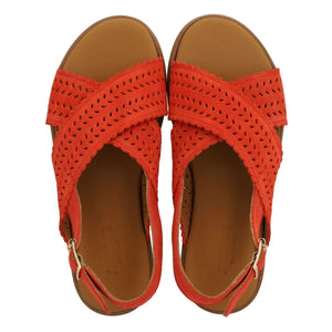 Angulus - Feson Cross Suede Sandals | Coral