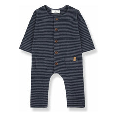 1+ in the family - Combination Albert | Benekli mavi