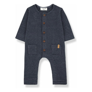 1+ in the family - Combination Albert | Benekli mavi