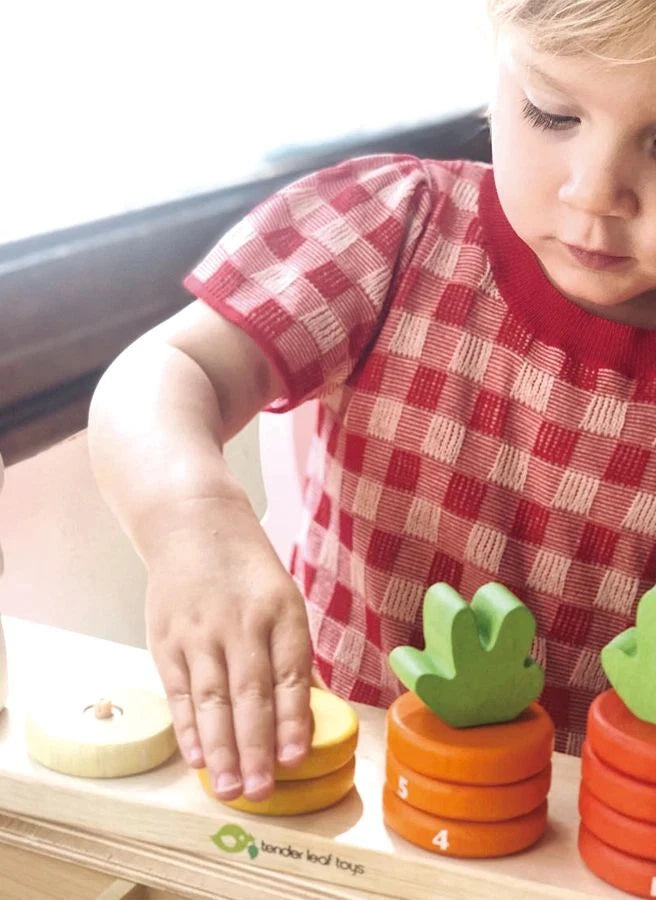 Tender Leaf Toys - Buchstaben-Zählspielzeug